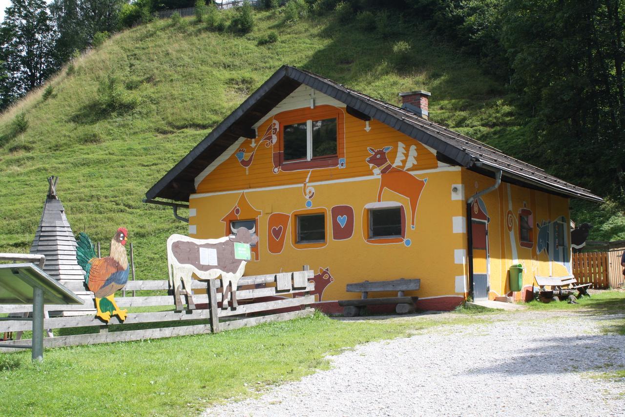 Muehlbach Alpendomizil II Apartamento Mühlbach am Hochkönig Exterior foto