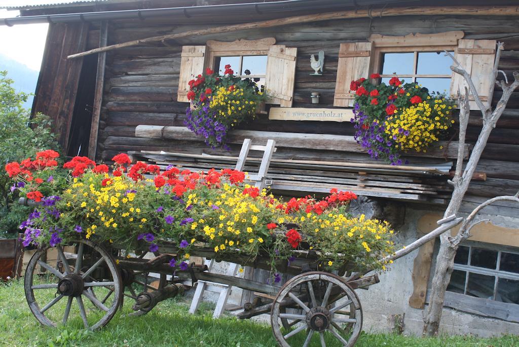 Muehlbach Alpendomizil II Apartamento Mühlbach am Hochkönig Exterior foto